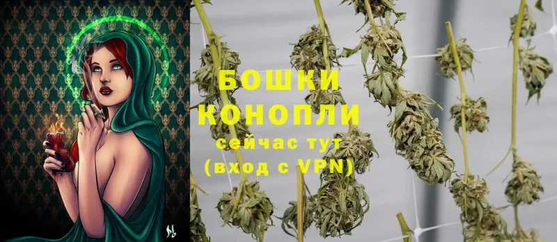 Конопля THC 21%  наркотики  Луховицы 